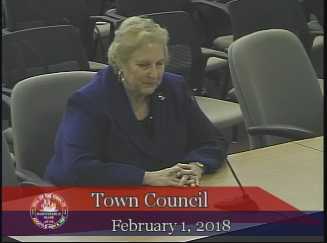 Thumbnail image for Town Council 02-01-2018