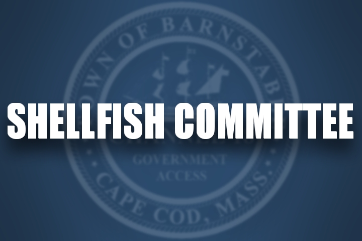 Thumbnail image for Shellfish Committee 05-13-2020