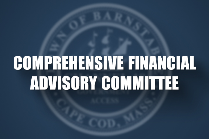 Thumbnail image for Comprehensive Financial Advisory Committee 06-08-2020