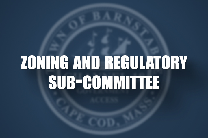 Thumbnail image for Zoning and Regulatory Sub-Committee 11-12-2020